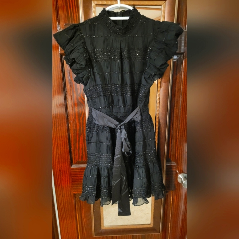 AVARA Handley party dress NWT large